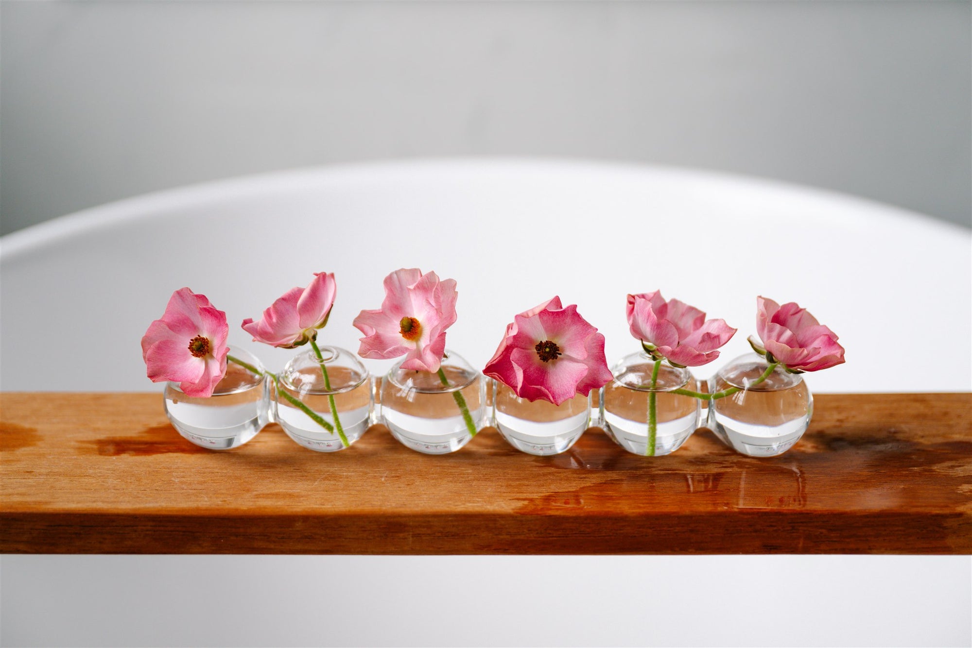 Caterpillar Glass Modern Clear Flower Vase