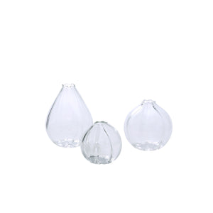 Viola Budvases