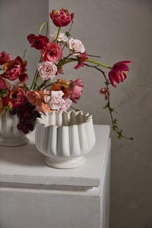 Tulipa Compote