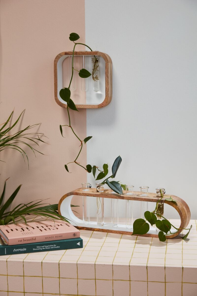 Propagation Stand