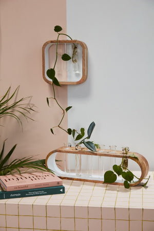 Propagation Stand