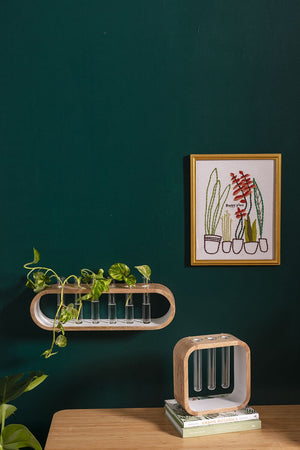 Propagation Stand