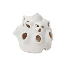 Shephard Flower Frog