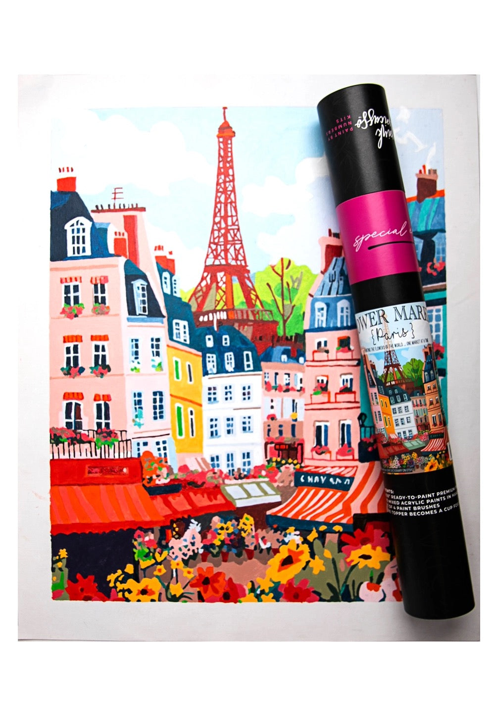 Painting by Number Kits- Pink Picasso