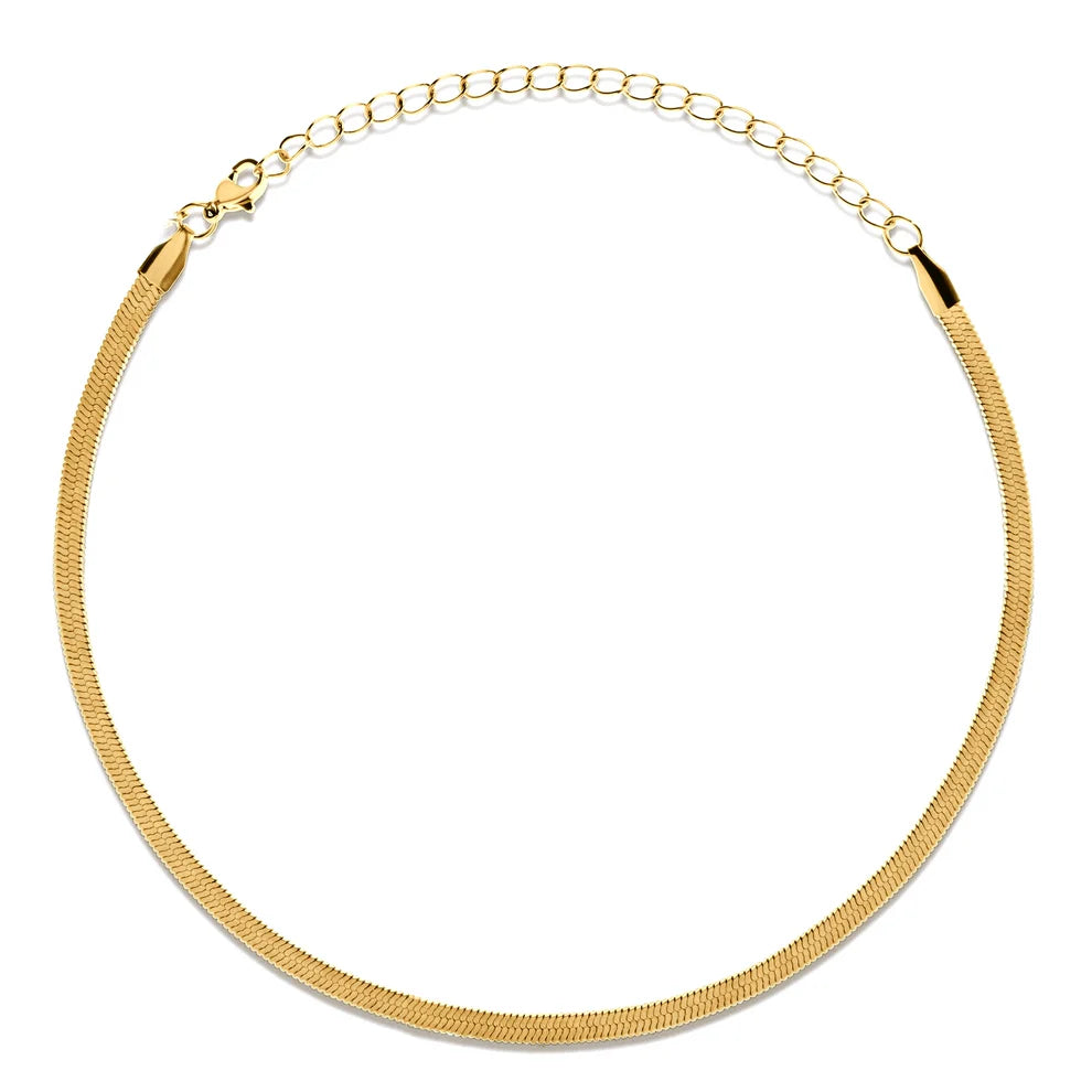 Ellie Vail-Nic Herringbone Chain Choker Necklace