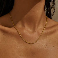 Ellie Vail Piper Round Snake Chain Necklace