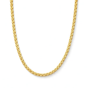 Ellie Vail- Raffaella Chain Choker Necklace